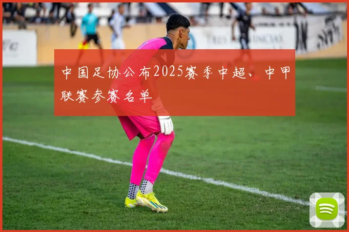 中国足协公布2025赛季中超、中甲联赛参赛名单
