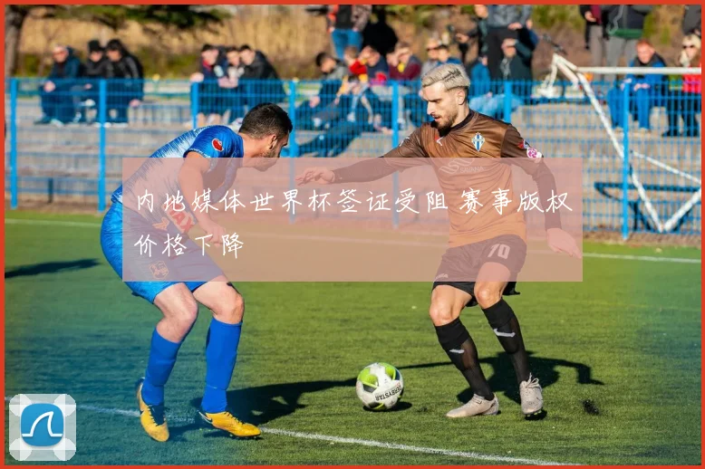 内地媒体世界杯签证受阻 赛事版权价格下降