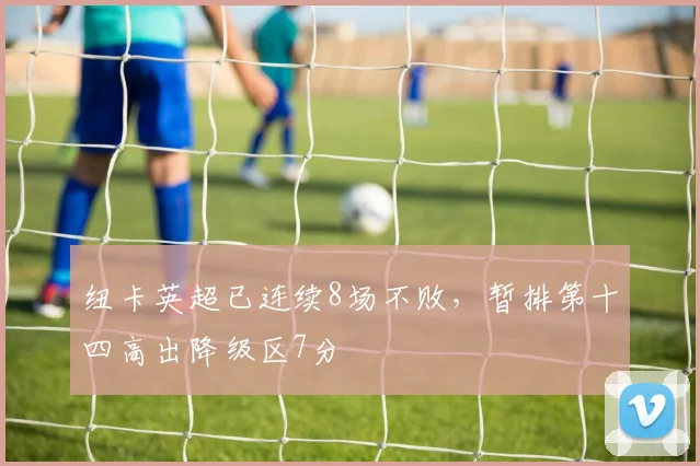 纽卡英超已连续8场不败，暂排第十四高出降级区7分