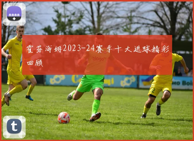 霍芬海姆2023-24赛季十大进球精彩回顾
