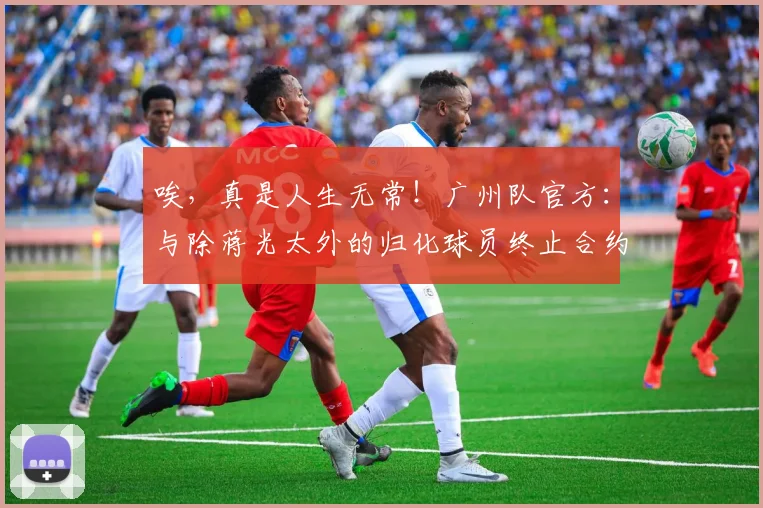 唉，真是人生无常！广州队官方：与除蒋光太外的归化球员终止合约