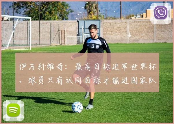 伊万科维奇：最高目标进军世界杯，球员只有认同目标才能进国家队